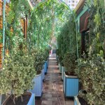 Аренда Объект, м. Эльмляр Академиясы метро, пос. Бадамдар, Сябаиль район 26