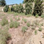 Satılır Torpaq, Zirə, Xəzər rayonu 4