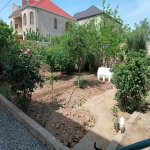 Kirayə (aylıq) 2 otaqlı Həyət evi/villa, Maştağa qəs., Sabunçu rayonu 1