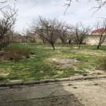 Satılır Torpaq, Saray, Abşeron rayonu 9