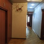 Kirayə (aylıq) 3 otaqlı Yeni Tikili, 28 May metrosu, Nərimanov rayonu 11