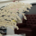 Kirayə (aylıq) Obyekt, Nizami metrosu, Yasamal rayonu 4