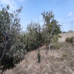 Satılır Torpaq, Maştağa qəs., Sabunçu rayonu 7