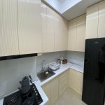 Kirayə (aylıq) 2 otaqlı Yeni Tikili, Gənclik metrosu, Nəsimi rayonu 14
