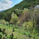 Satılır 3 otaqlı Həyət evi/villa İsmayıllı 29