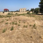 Satılır Torpaq, Pirşağı qəs., Sabunçu rayonu 2