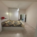 Satılır 2 otaqlı Yeni Tikili, 28 May metrosu, Nəsimi rayonu 9