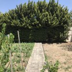 Kirayə (aylıq) 4 otaqlı Bağ evi, Bilgəh qəs., Sabunçu rayonu 2