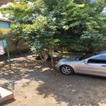 Продажа 3 комнат Дача Ленкорань 15