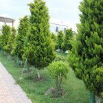 Kirayə (aylıq) 6 otaqlı Bağ evi, Mərdəkan, Xəzər rayonu 31