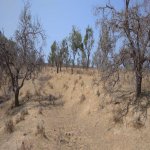 Satılır Torpaq, Kürdəxanı qəs., Sabunçu rayonu 5
