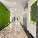 Kirayə (aylıq) 4 otaqlı Ofis, Nəriman Nərimanov metrosu, Nərimanov rayonu 11