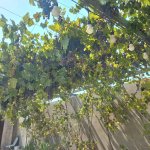 Satılır 3 otaqlı Bağ evi, Bilgəh qəs., Sabunçu rayonu 6