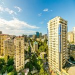 Kirayə (günlük) 5 otaqlı Yeni Tikili, Nəsimi rayonu 50