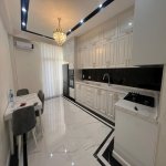 Kirayə (aylıq) 2 otaqlı Yeni Tikili, Gənclik metrosu, Nərimanov rayonu 11