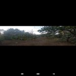 Satılır Torpaq, Novxanı, Abşeron rayonu 7