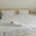 Kirayə (günlük) 3 otaqlı Həyət evi/villa Qəbələ 10