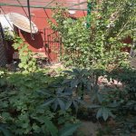 Satılır 3 otaqlı Həyət evi/villa, Azadlıq metrosu, Binəqədi qəs., Binəqədi rayonu 11