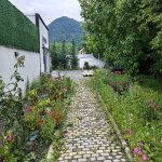 Kirayə (günlük) 3 otaqlı Həyət evi/villa Qəbələ 12