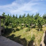 Аренда 3 комнат Дача, Туркян, Хязяр район 17