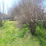Satılır Torpaq, Masazır, Abşeron rayonu 3