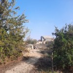 Satılır 14 otaqlı Bağ evi, Goradil, Abşeron rayonu 6