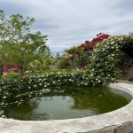 Kirayə (aylıq) 3 otaqlı Bağ evi, Pirşağı qəs., Sabunçu rayonu 24