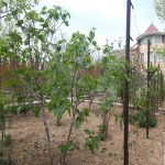Satılır 8 otaqlı Həyət evi/villa, Mərdəkan, Xəzər rayonu 17