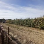 Satılır 3 otaqlı Həyət evi/villa, Sabunçu rayonu 3