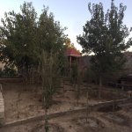 Продажа 7 комнатная Дома/Виллы, Мярдякан, Хязяр район 13