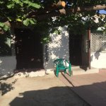 Kirayə (aylıq) 2 otaqlı Həyət evi/villa, Elmlər akademiyası metrosu, Yasamal rayonu 2
