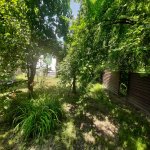Kirayə (günlük) 3 otaqlı Həyət evi/villa Qəbələ 7