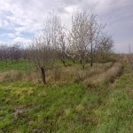 Satılır Torpaq Quba 22