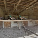 Аренда 6 комнат Дома/Виллы, пос. Бадамдар, Сябаиль район 9