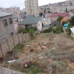 Продажа Участок, пос. Бадамдар, Сябаиль район 3