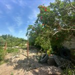 Satılır Torpaq, Şüvəlan, Xəzər rayonu 3