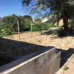 Kirayə (aylıq) 3 otaqlı Bağ evi, Bilgəh qəs., Sabunçu rayonu 3