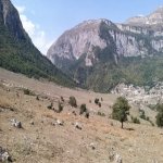 Satılır Torpaq Quba 1