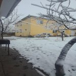Kirayə (günlük) 3 otaqlı Həyət evi/villa İsmayıllı 3
