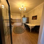 Kirayə (aylıq) 2 otaqlı Yeni Tikili, 28 May metrosu, Nəsimi rayonu 12