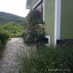 Kirayə (günlük) 3 otaqlı Həyət evi/villa İsmayıllı 8
