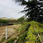 Продажа Объект, Туркян, Хязяр район 22