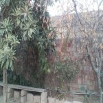 Satılır 3 otaqlı Həyət evi/villa Şirvan 12