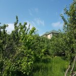 Satılır 6 otaqlı Həyət evi/villa Şamaxı 22
