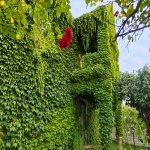 Kirayə (günlük) 6 otaqlı Həyət evi/villa İsmayıllı 7