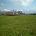 Продажа Участок Гябяля 3