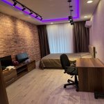 Продажа 4 комнатная Новостройка, м. 20 Января метро, пос. Ясамал, Ясамал район 11