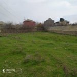 Satılır Torpaq, Saray, Abşeron rayonu 1