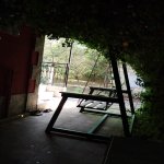Kirayə (günlük) 3 otaqlı Bağ evi Lənkəran 19