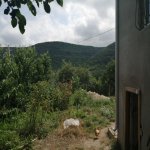 Kirayə (günlük) 2 otaqlı Həyət evi/villa Quba 4